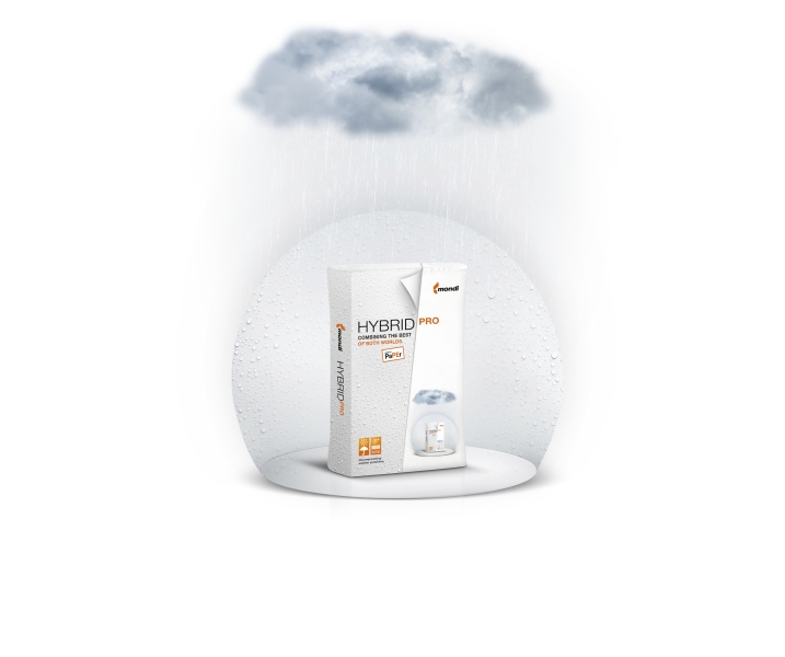 IB HYBRID PRO Dome Cloud white